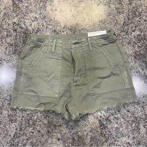 Brand New w/ tags American Eagle Shorts